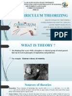 Curriculum Theory