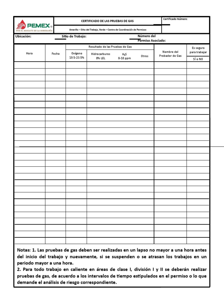 13 Formato de Certificado Prueba de