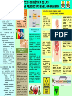 Infografia Toxicologia