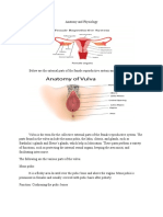 Anatomy and Physiology Revised Female Reproductive System