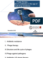 Phage Therapy - Presentation