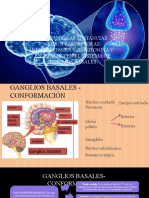 Ganglios Basales