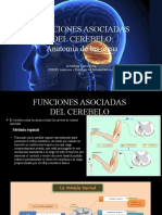 Funcuones Asociadas Del Cerebelo