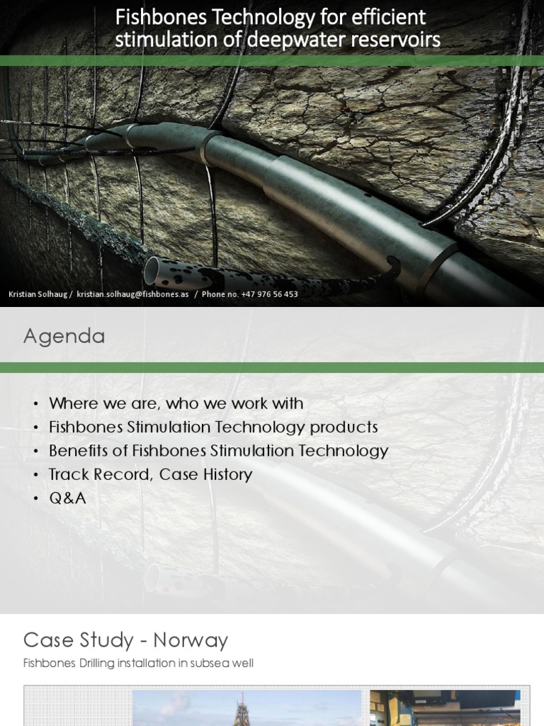 Fishbones Deepwater Stimulation Tech | PDF | Oil Well | Subsea (Technology)