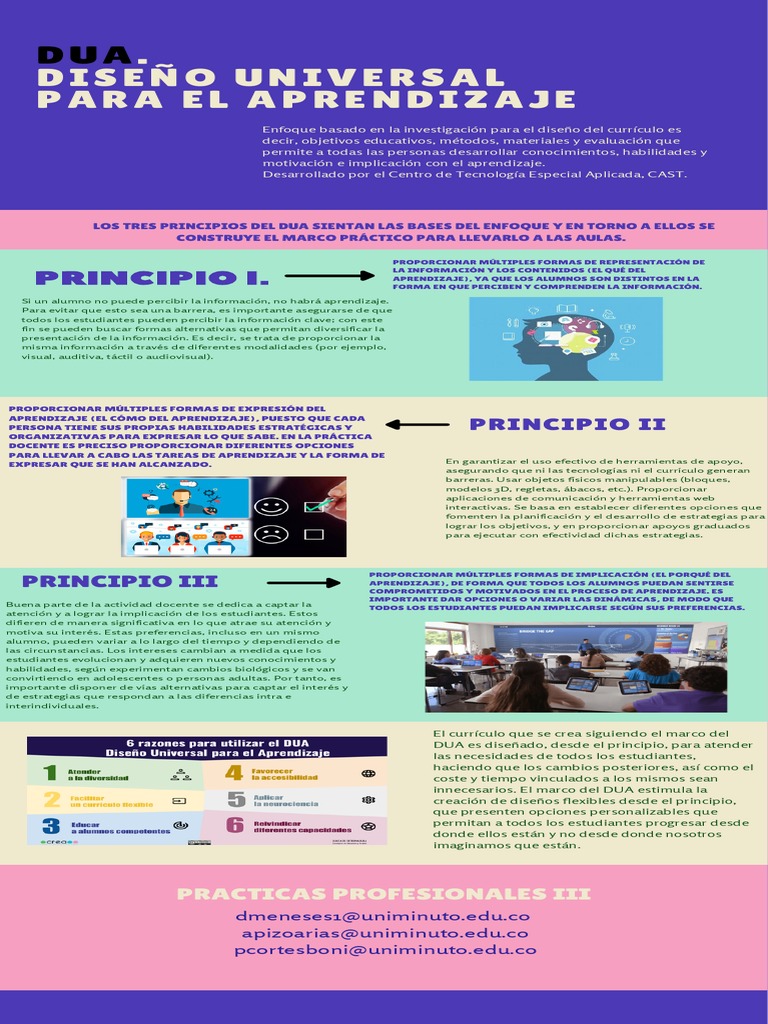 Dua. Diseño Universal para El Aprendizaje | PDF | Plan de estudios ...