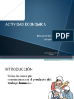 Actividad Economica