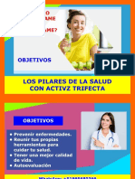 PILARES DE LA SALUD ACTIVZ PERU