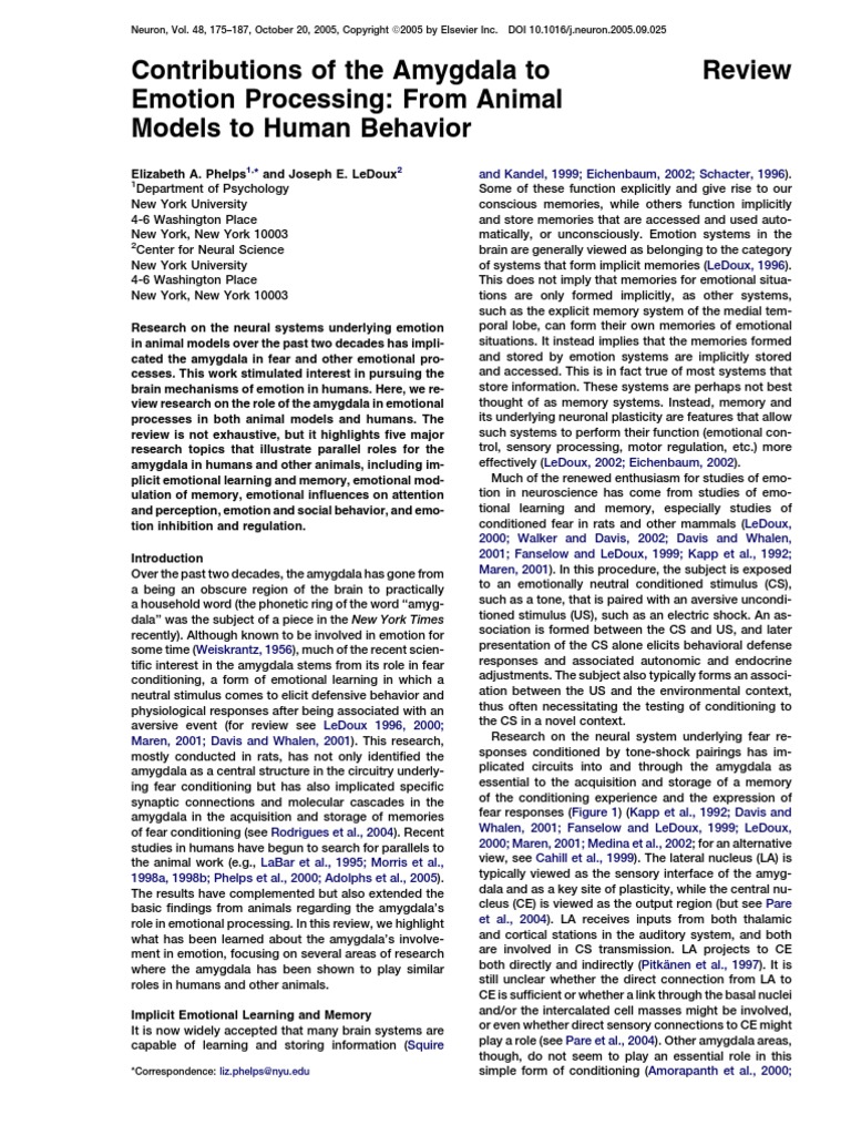 Contribution of The Amigdala To Emotion Processing | PDF