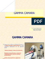 SodaPDF-converted-GAMMA CAMARA 2021