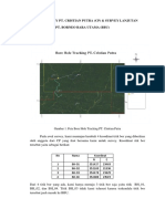 Laporan Survey Pt. CP & Survey Lanjutan Pt. Bbu