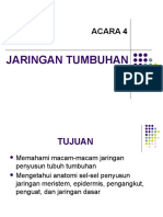 Acara 4