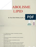 Metabolieme Lipid 