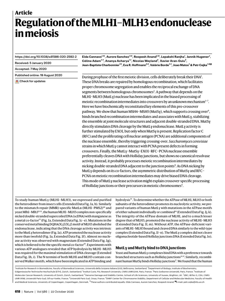 MLH1-MLH3 Endonuclease in Meiosis | PDF | Dna | Meiosis