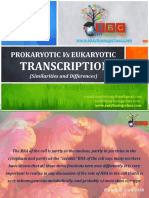 Difference Between Prokaryotic and Eukaryotic Transcription PPT and PDF