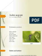 Aedes Aegypti: B. Sc. 1 Year Zoology (Arthropoda)