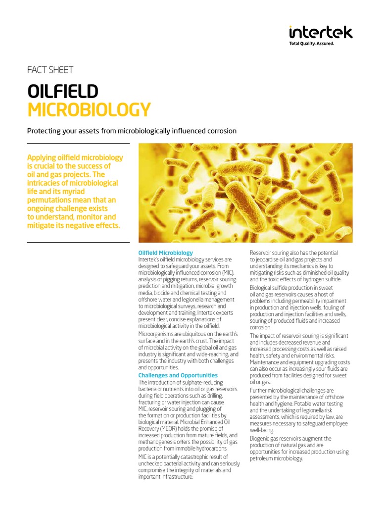 Oilfield Microbiology PDF Petroleum Reservoir Microbiology