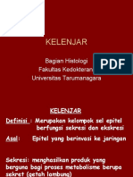 KELENJAR