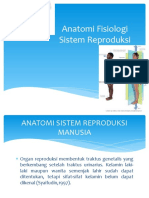 Anatomi Fisiologi Sistem Reproduksi