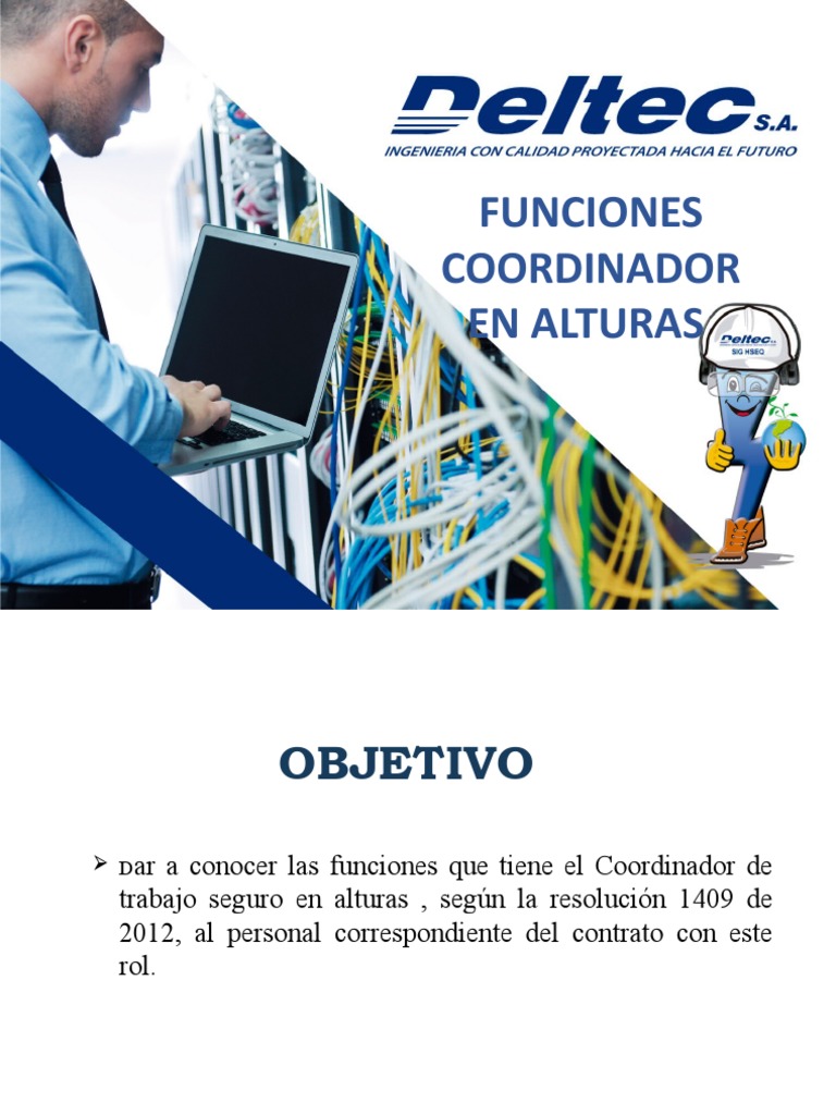 Funciones del Coordinador en Alturas | PDF | Seguridad y salud ...