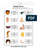 Body Parts Worksheet