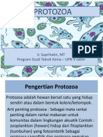 Pertemuan Vii - Protozoa