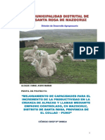 Perfil de Alpacas Municipalidad Distrital de Santa Rosa