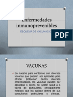 Enfermedades Inmunoprevenibles: Esquema de Vacunacion