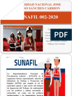 SUNAFIL 002-2020