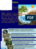 Ecologia 2020 PDF
