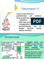 Fotosintesis ppt 5
