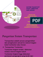 sistem transportasi TA 2018-2019