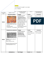 TUGAS 1 Mikrobiologi