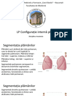 LP4 - Configuratie Interna Plaman Modificat