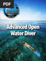 PADI RDP TABLE - RDP - Table Met | PDF | Scuba Diving | Occupational ...