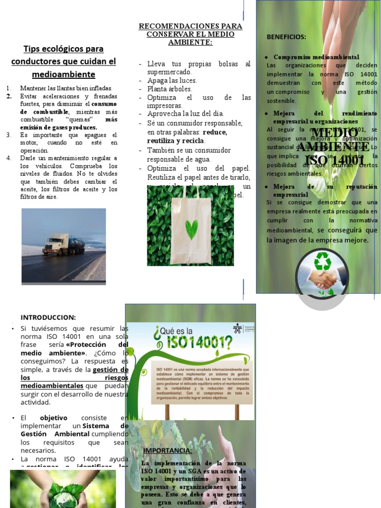 Triptico Medio Ambiente | PDF | Entorno natural | Naturaleza
