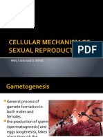 Cellular Mechanism of Sexual Reproduction