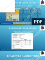 Ensayos de Laboratorio DMGA