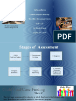 The Child Assessment Cycle