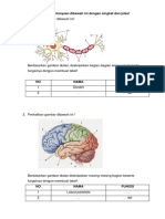 Tugas Sistem Saraf