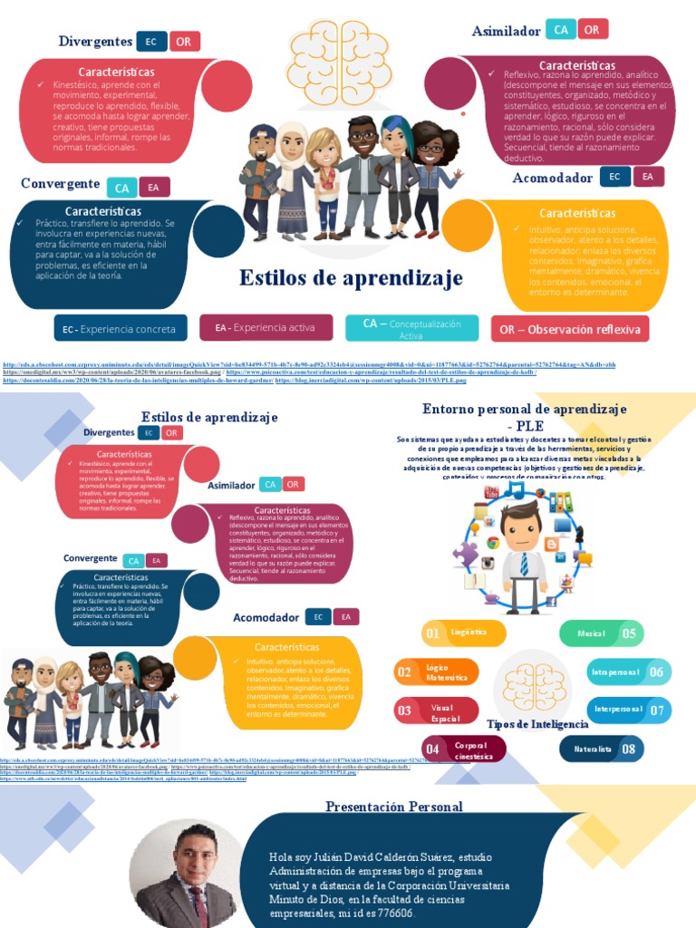 Infografia Estilos De Aprendizaje Pdf Aprendizaje Psicología