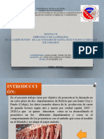 Pronostico de La Dmanda de Carne Bovina de La Ciudad de Santa Cruz y Pando