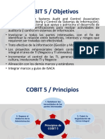 Lectura Interpretación Corta COBIT