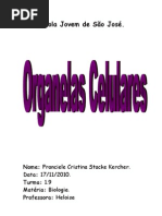Organelas Celulares