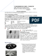 Tipos de Dominancia Taller