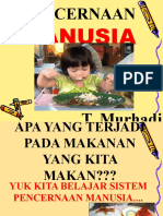 3 Sistem Pencernaan Manusia