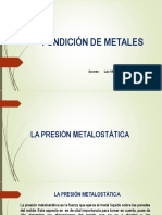 13 PPTprecion Metalostatica