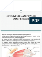 Struktur Dan Fungsi Otot Skelet