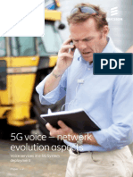 5G Voice - Network Evolution Aspects