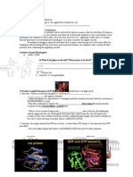 Second Messengers in Signal Trasduction