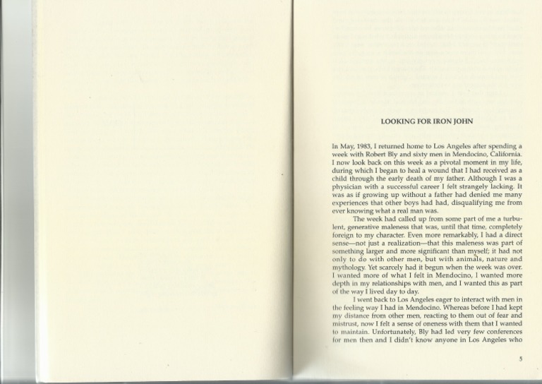 Buscando A Iron John PDF